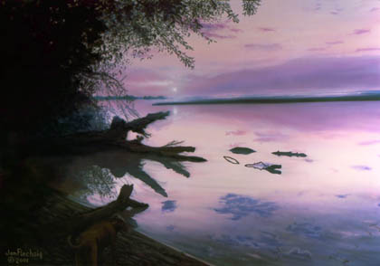 Peaceful morning dog on beach water like glass reflects the sky