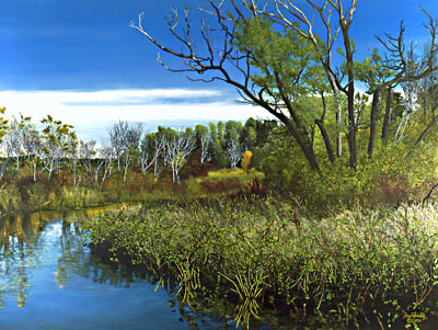 creek birches bend around field nad reeds