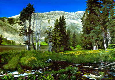 Indian Peaks Wilderness Area Colorado pines mountain stream