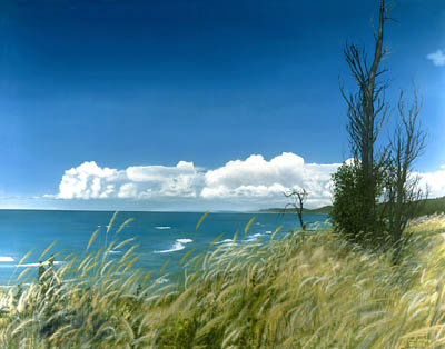 Lake Michigan Coastline breezy day grass swaying clouds in the distance