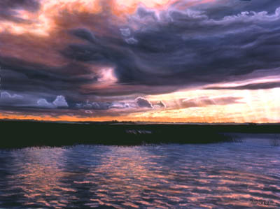 Storm Clouds sweep across the sky over reeds water ripples of wind