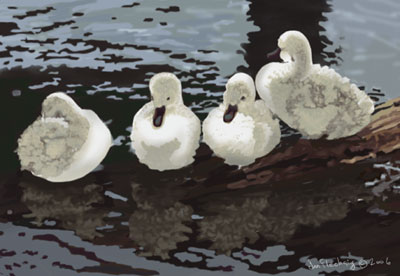signets1a1