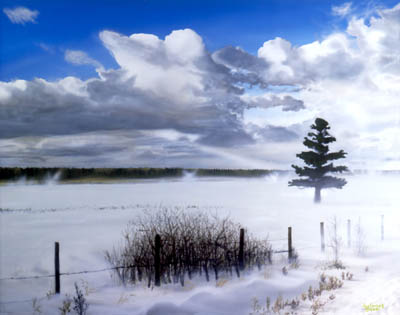 bright snowy day up north tree in field fence with snow devils in distance
