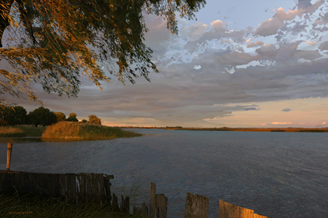Golden leaves in the breeze,sunlight on old wood waves on the water clouds pass by